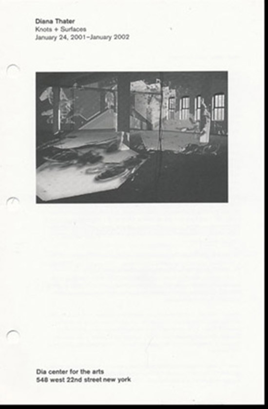 Image for Diana Thater: Knots + Surfaces, 2001 (Gallery Brochure)