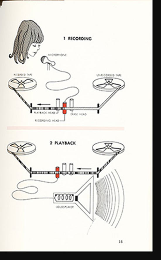 Image for It Works Like This: A Collection of Machines from Nature and Science Magazine