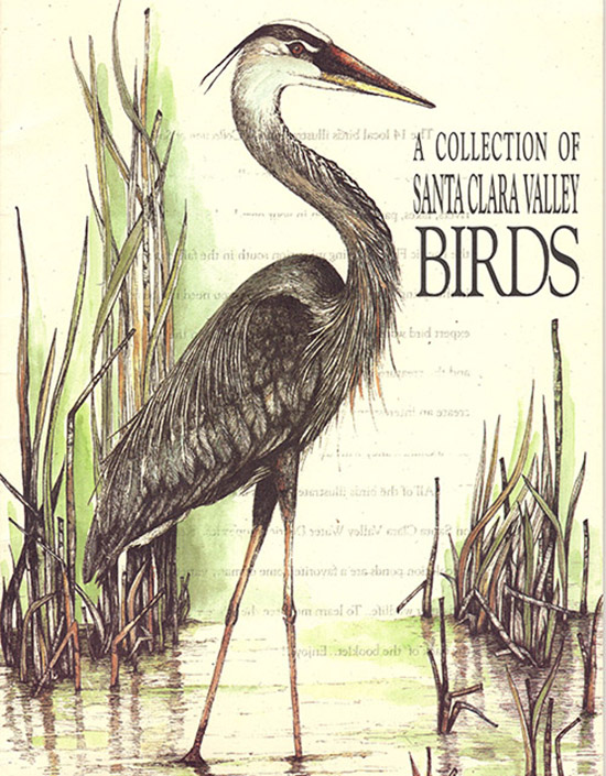 Image for A Collection of Santa Clara Valley Birds