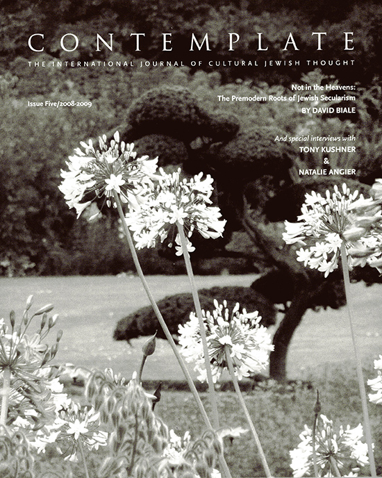 Image for Contemplate: The International Journal of Cultural Jewish Thought (Issue 5)