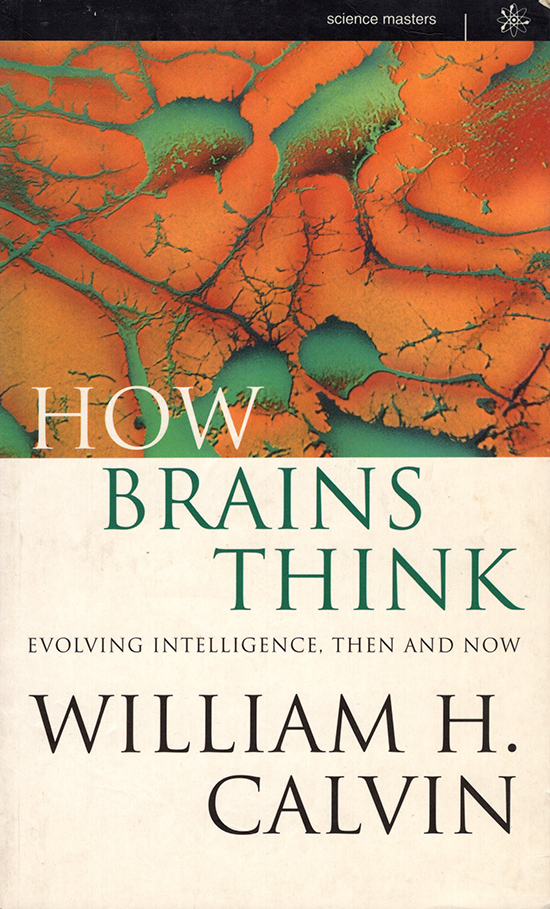 Image for How Brains Think: Evolving Intelligence, Then and Now