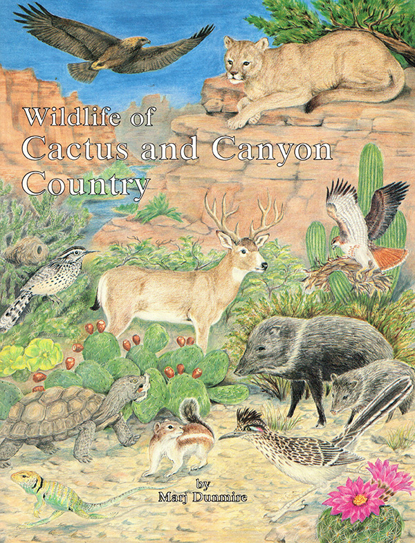 Image for Wildlife of Cactus and Canyon Country