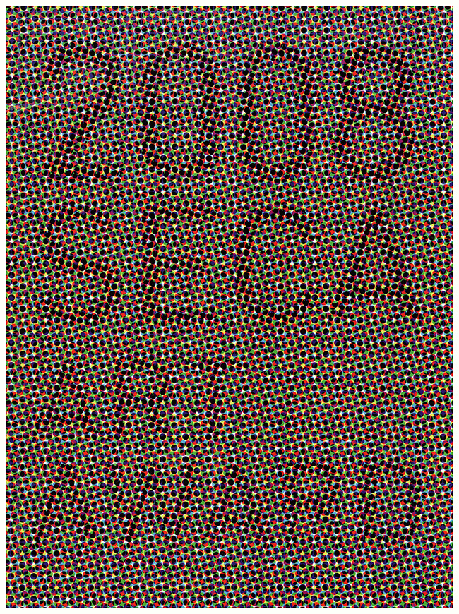 Image for 2008 SECA Art Award (Tauba Auerback, Desiree Holman, Jordan Kantor, Trevor Paglen)