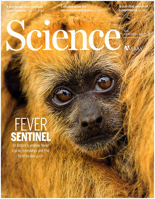 Image for Science Magazine (18 August 2017, Volume 357, 6352)