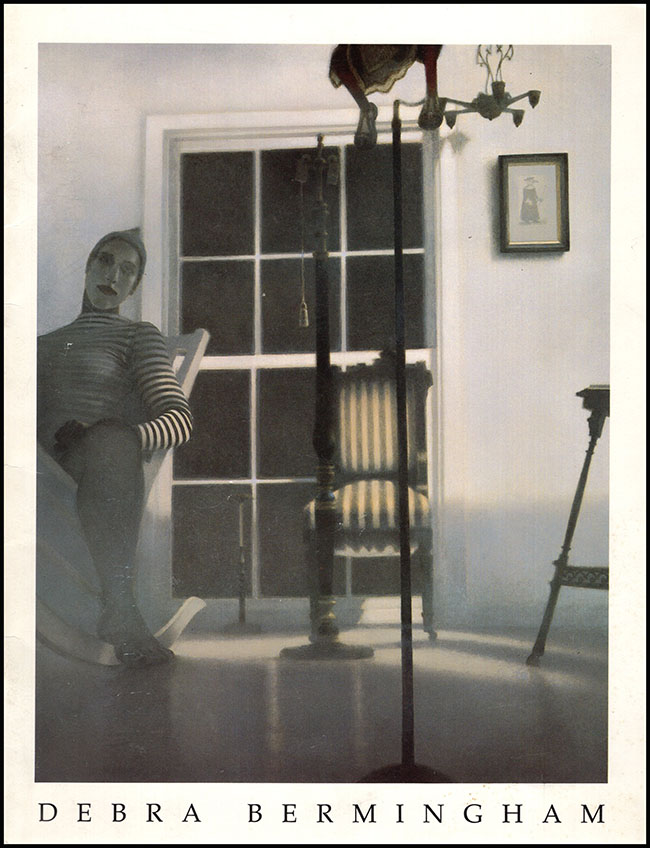 Image for Debra Bermingham: Across the Blue Room (October 13 - November 13, 1993)