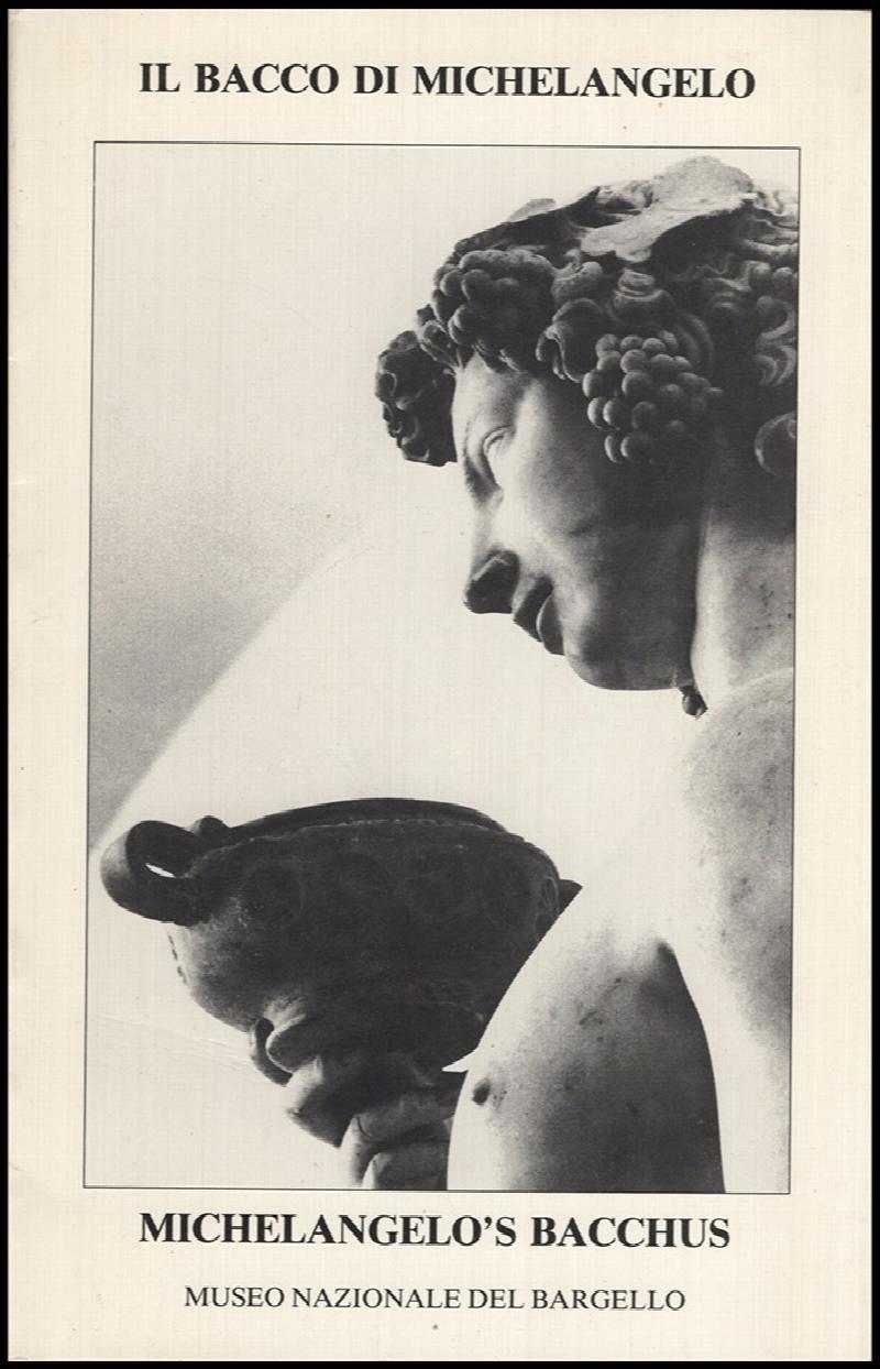 Image for Il bacco di Michelangelo-Michelangelo's Bacchus