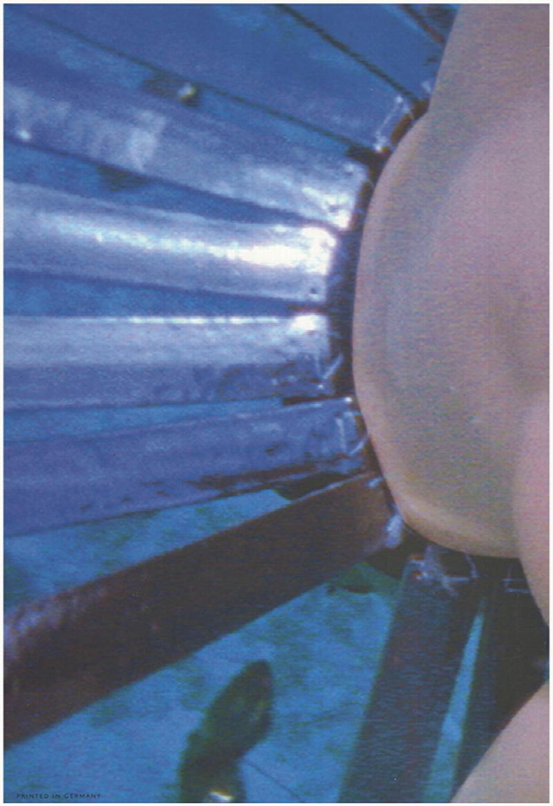 Image for Katy Schimert: The Drowned Man