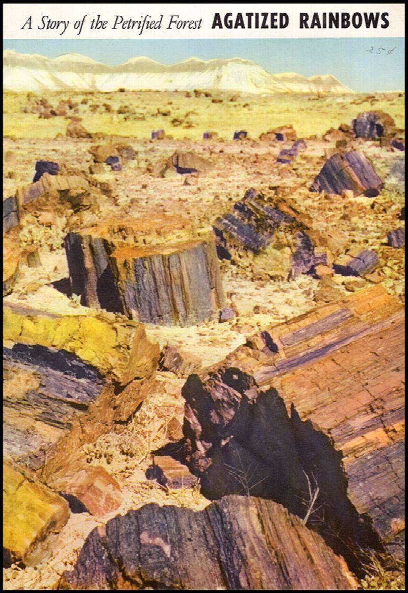 Image for Agatized Rainbows: A Story of the Petrified Forest (Popular Series No. 3)