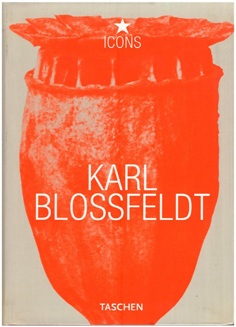 Image for Karl Blossfeldt (Taschen Icons Series)