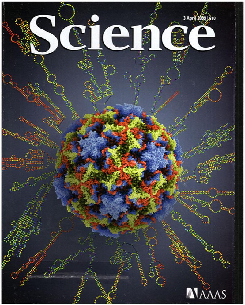 Image for Science Magazine (3 April 2009, Volume 324, Issue 5923)