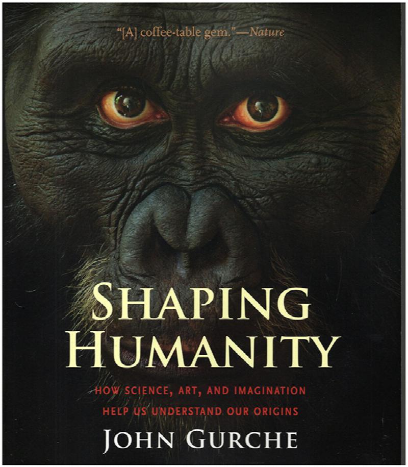 Image for Shaping Humanity: How Science, Art, and Imagination Help Us Understand Our Origins