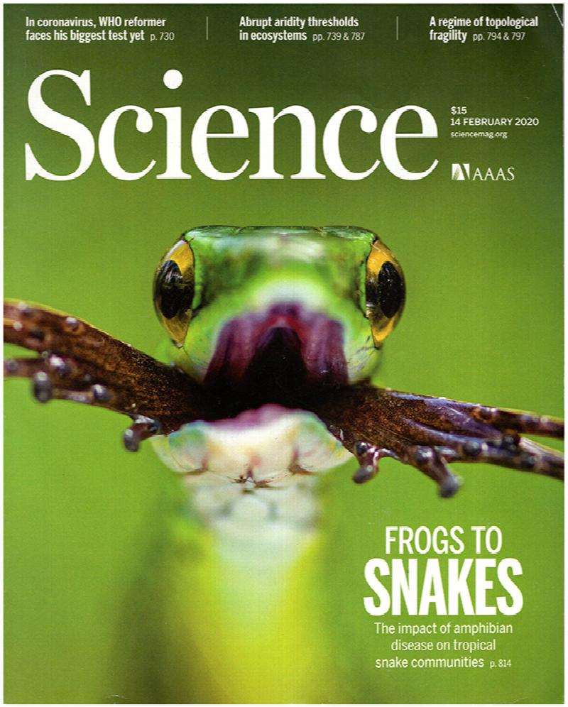 Image for Science Magazine (Vol 367, No. 6479, 14 February 2020)