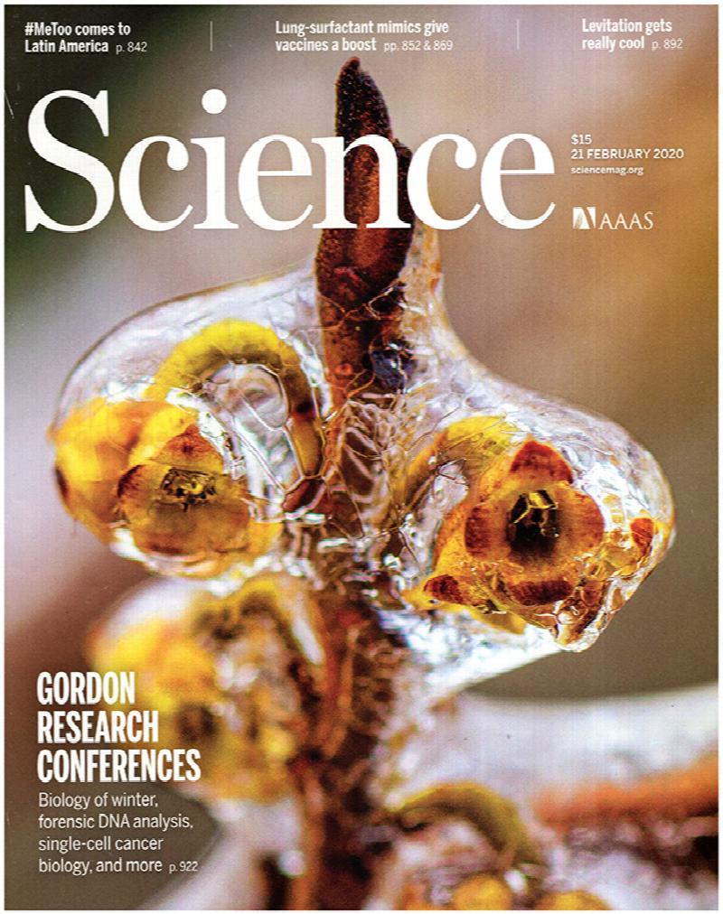 Image for Science Magazine (Vol 367, No. 6480, 21 February 2020)