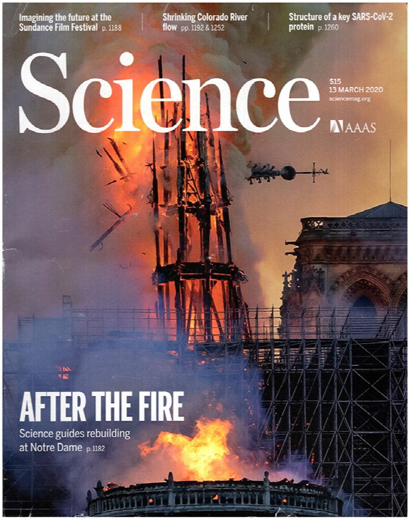 Image for Science Magazine (Vol 367, No. 6483, 13 March 2020)