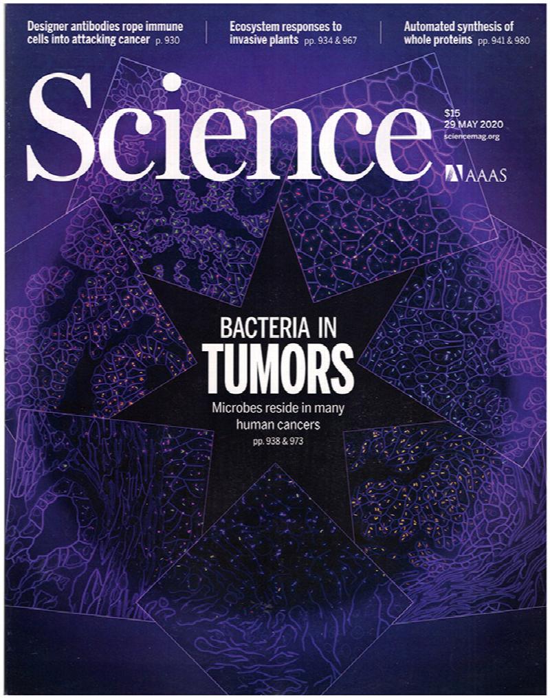 Image for Science Magazine (Vol 368, No. 6494, 29 May 2020)