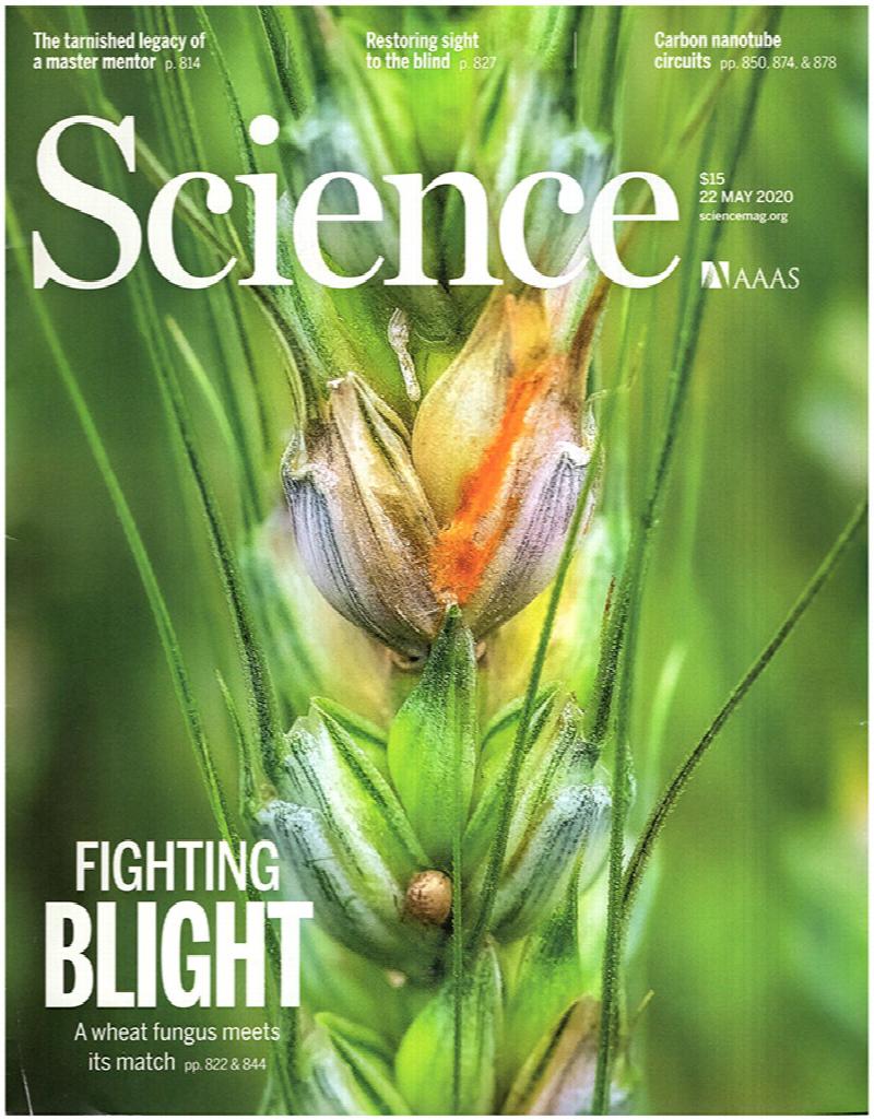 Image for Science Magazine (Vol 368, No. 6493, 22 May 2020)