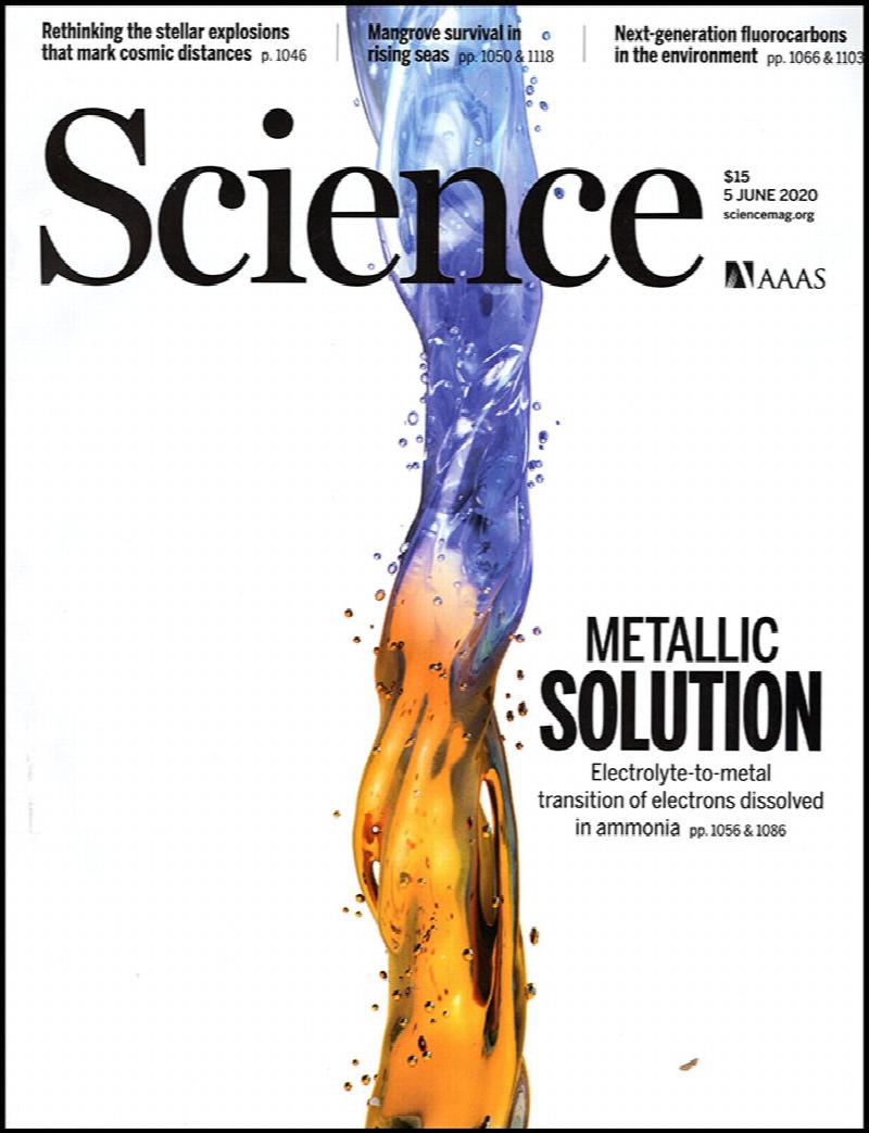 Image for Science Magazine (Vol 368, No. 6495, 5 June 2020)