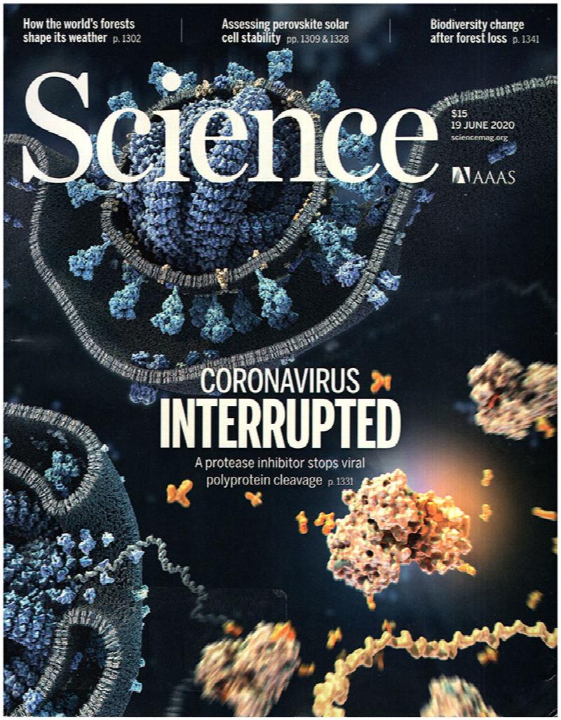 Image for Science Magazine (Vol 368, No. 6497, 19 June 2020)