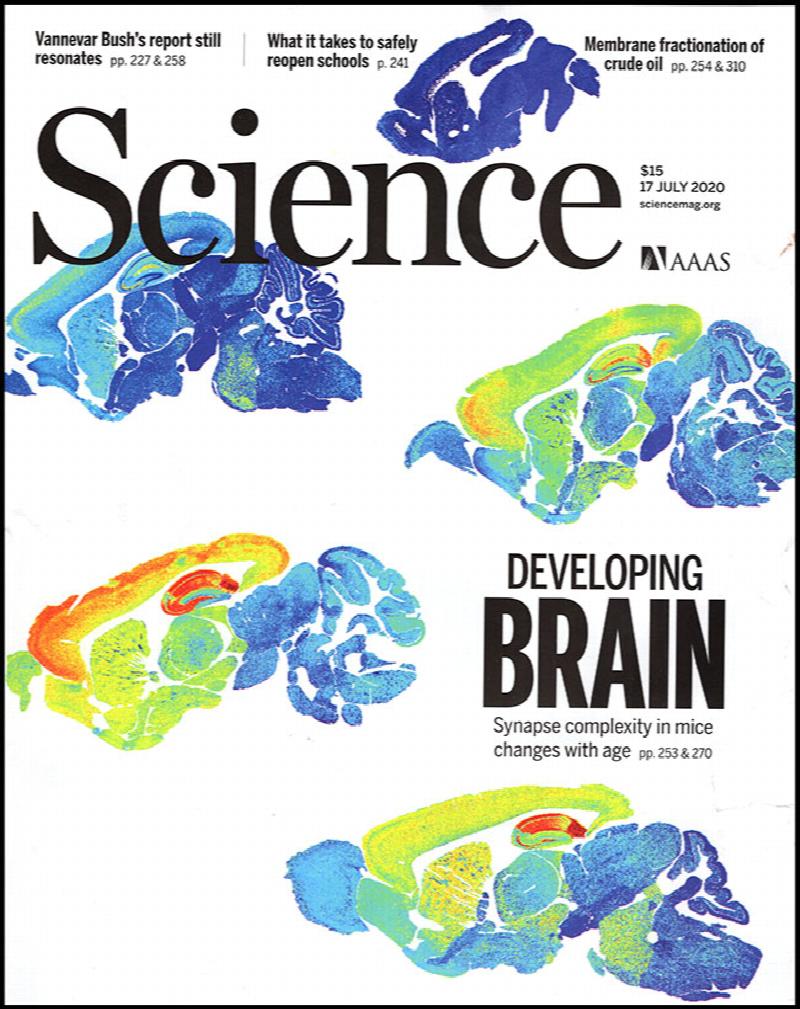 Image for Science Magazine (Vol 369, No. 6501, 17 July 2020)