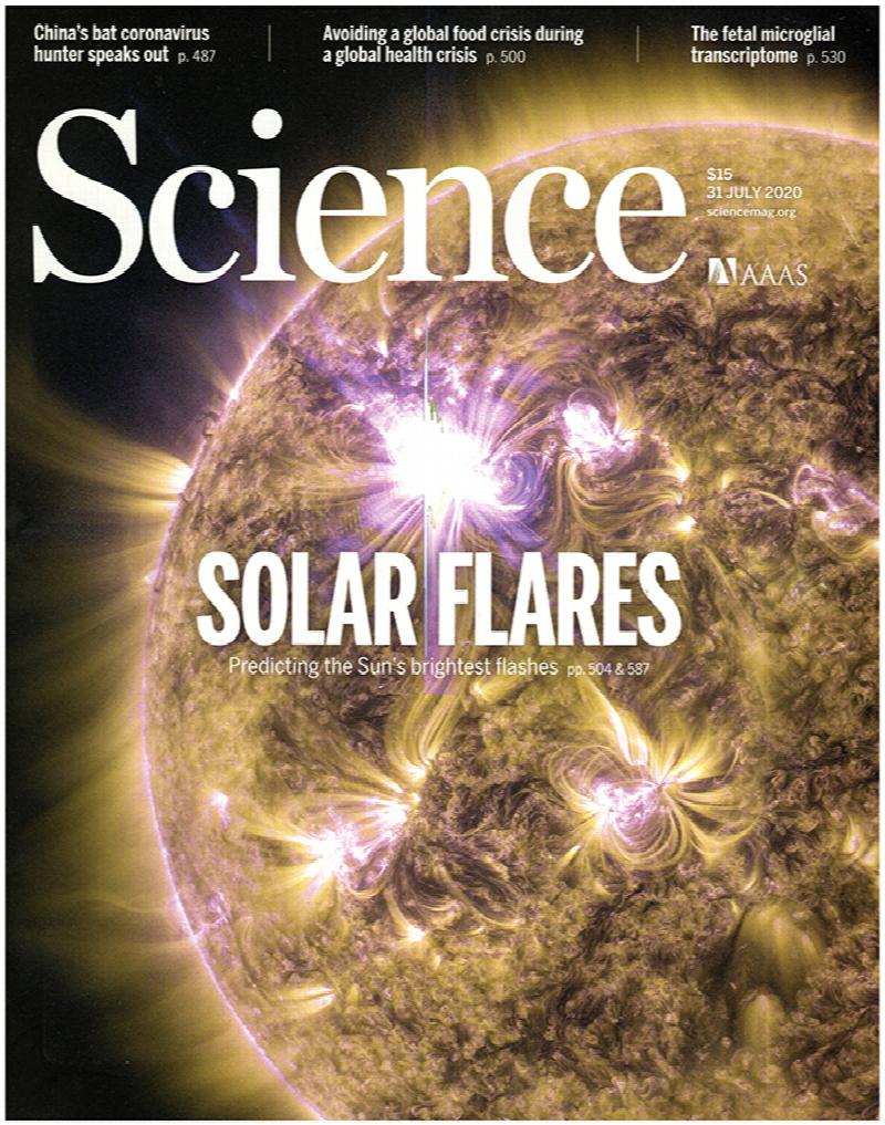 Image for Science Magazine (Vol 369, No. 6503, 31 July 2020)