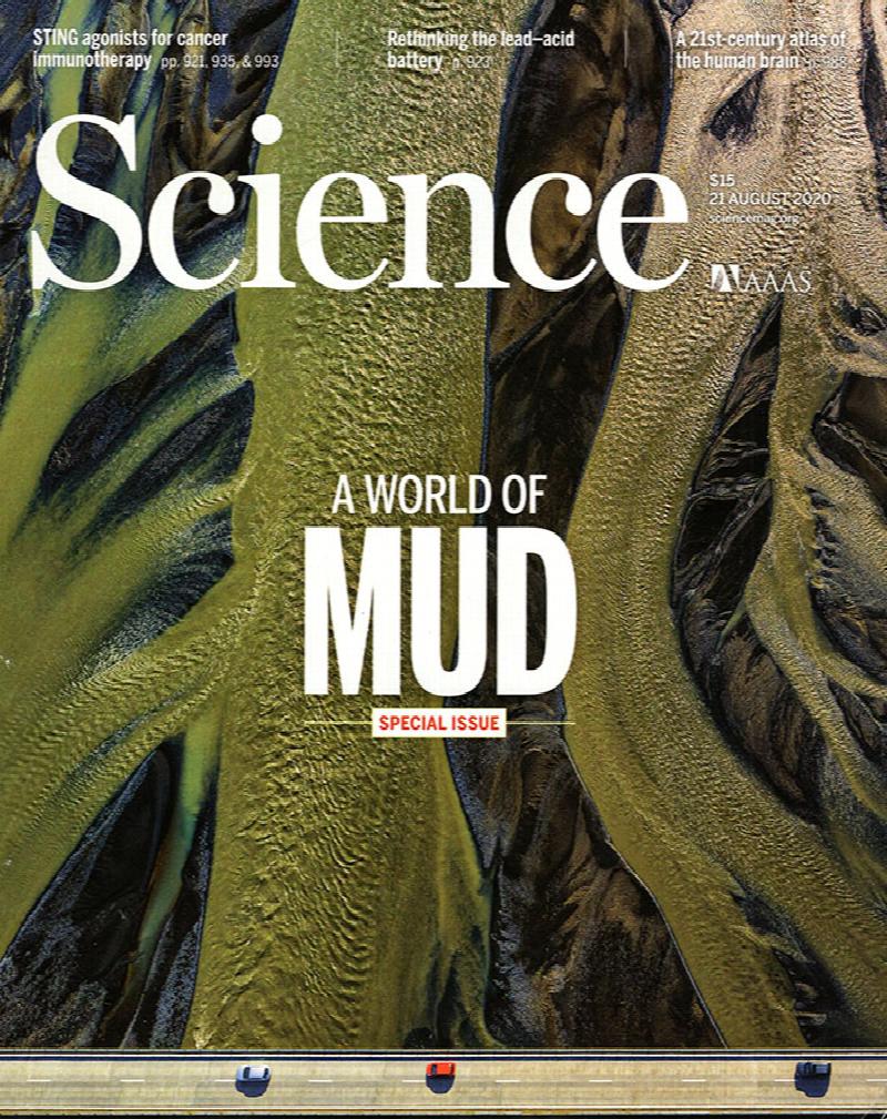 Image for Science Magazine (Vol 369, No. 6506, 21 August 2020)