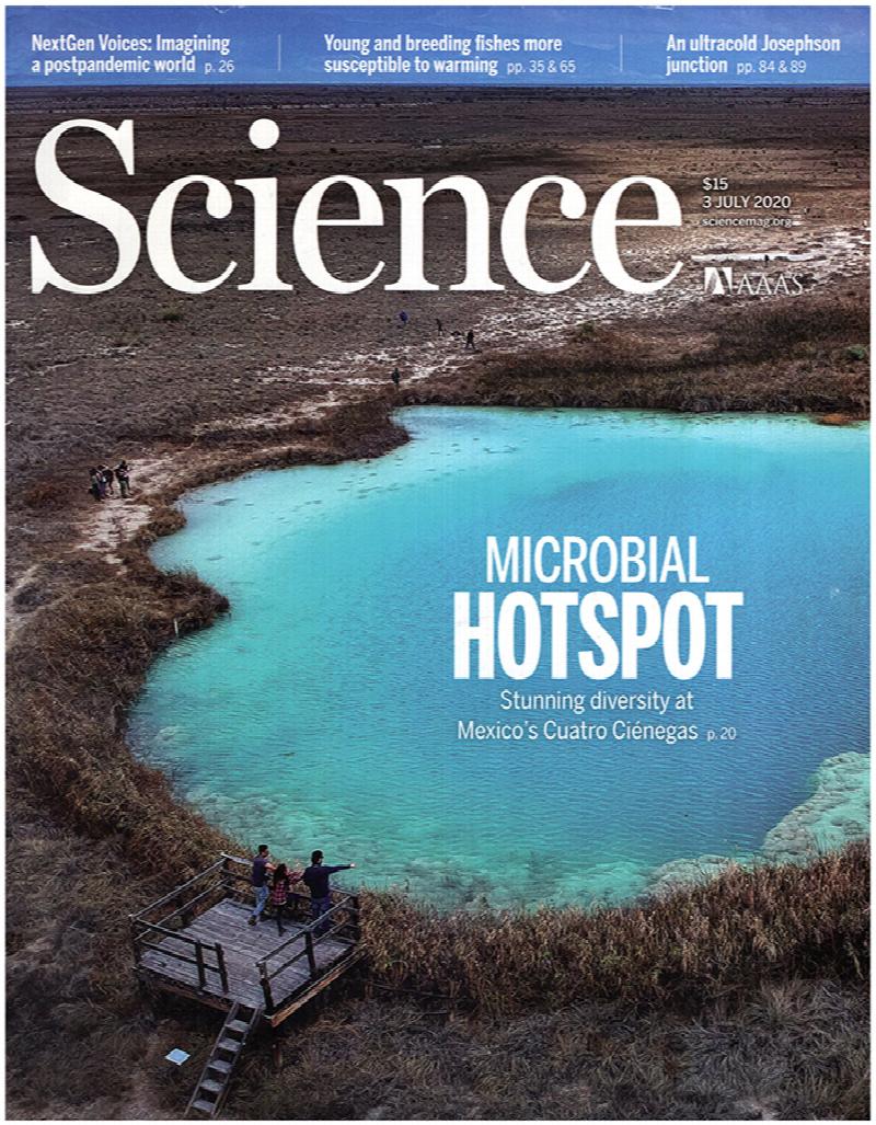 Image for Science Magazine (Vol 369, No. 6499, 5 July 2020)