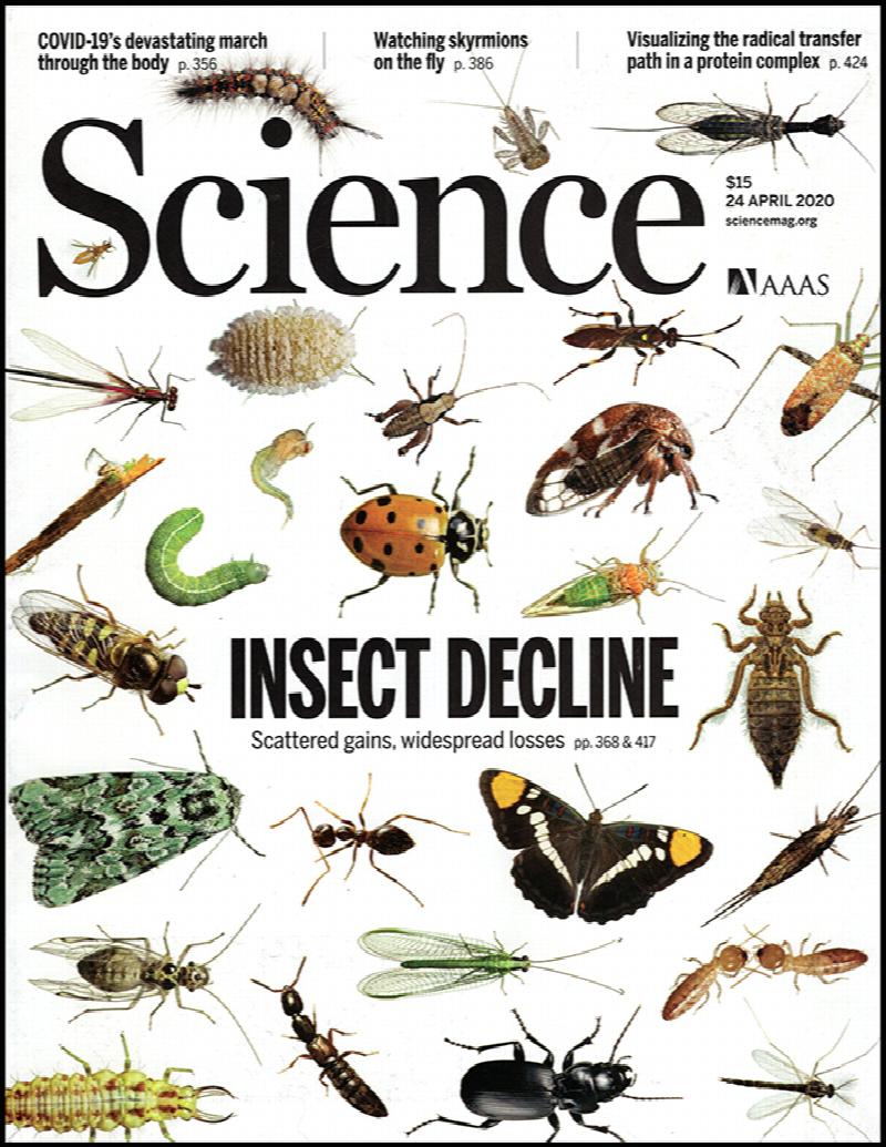 Image for Science Magazine (Vol 368, No. 6489, 24 April 2020)