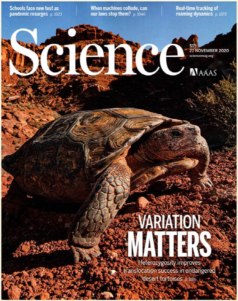 Image for Science Magazine (4 November 2020 issues, Vol 370)