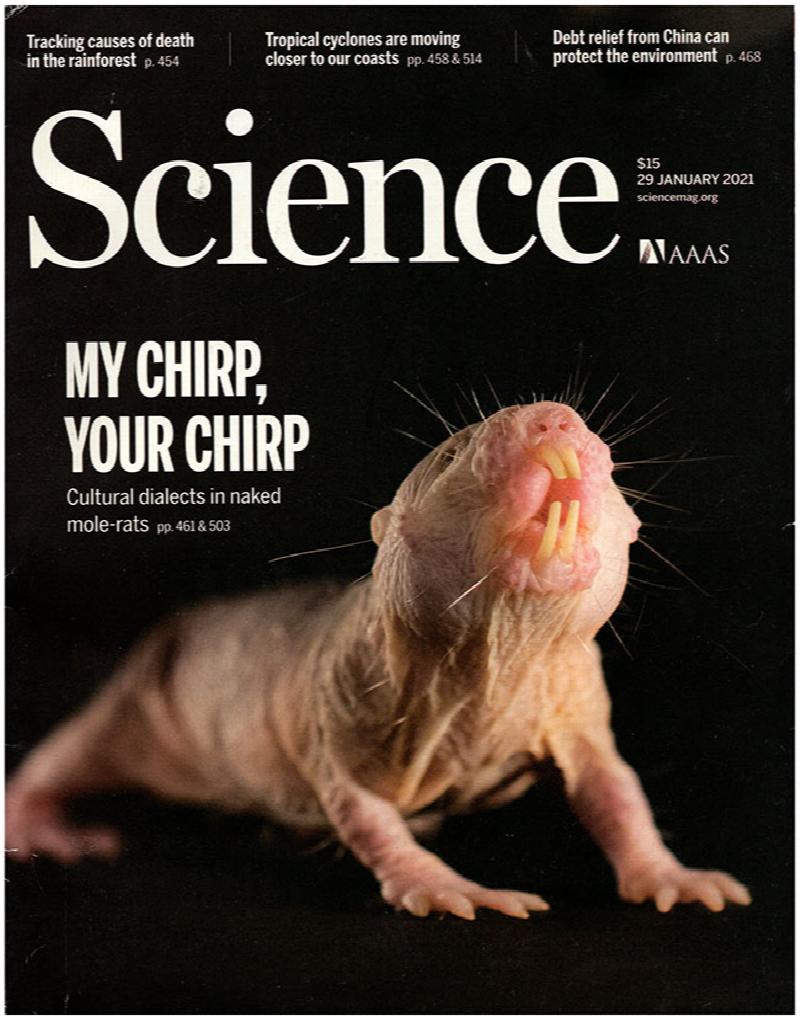 Image for Science Magazine (29 January 2021, Vol 371, No. 6528)