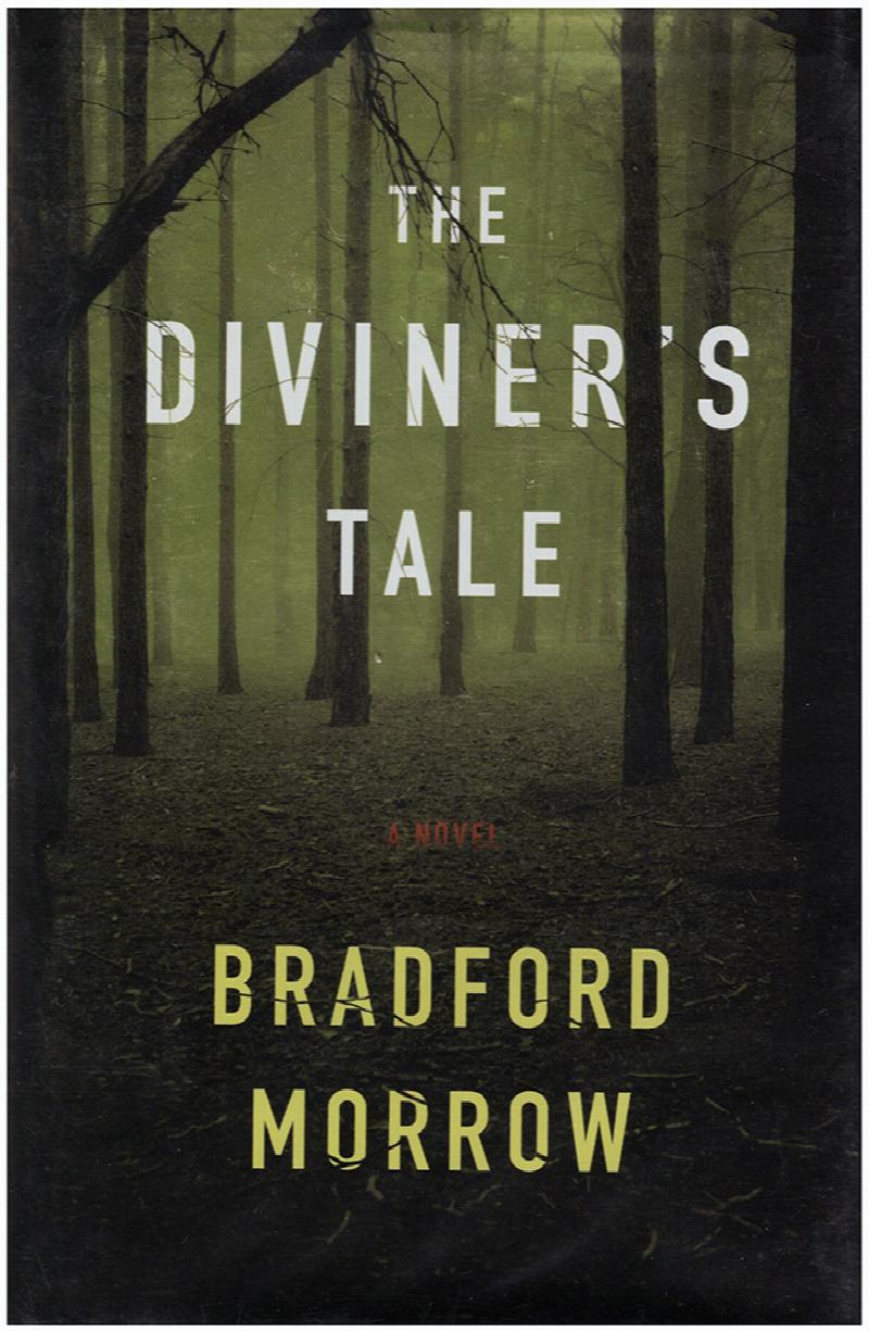 Image for The Diviner's Tale: A Novel