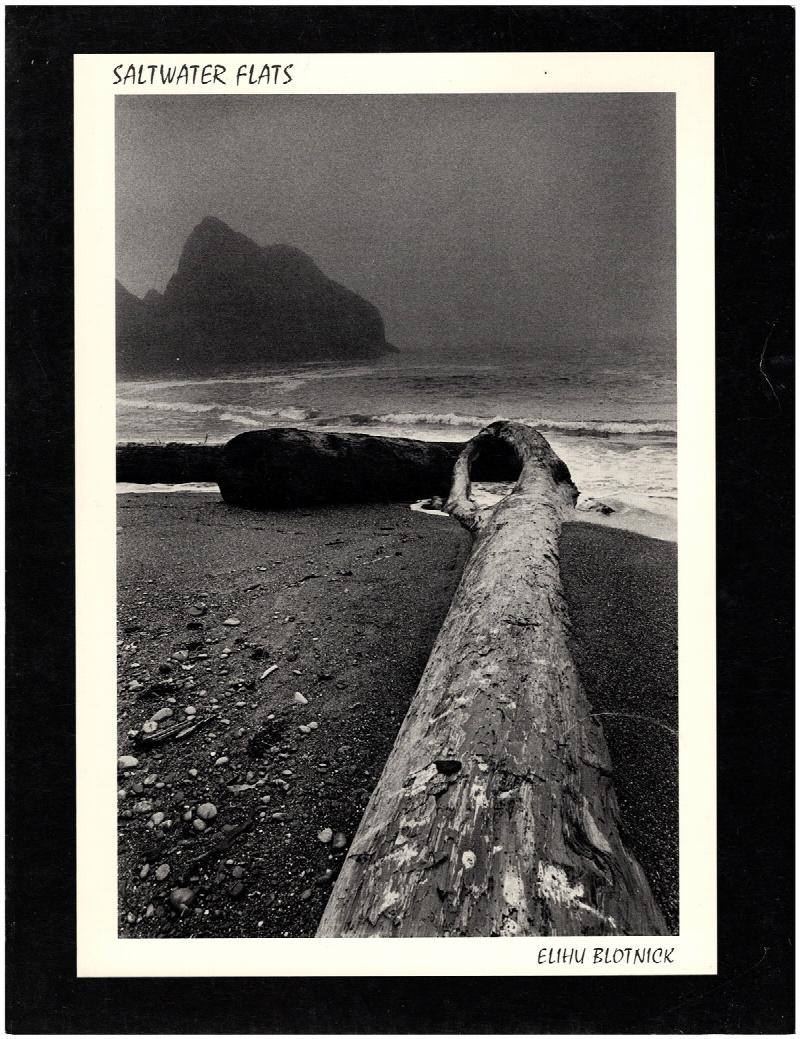Image for Saltwater Flats: A Silent Film