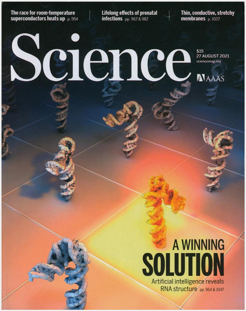 Image for Science Magazine: Artificial Intelligence Reveals RNA Structure (27 August 2021, Vol 373, No. 941)