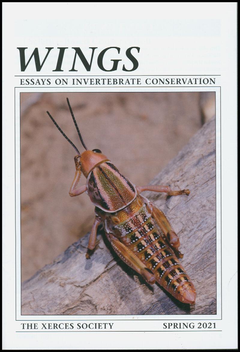 Image for Wings: Essays on Invertebrate Conservation: Fifty Years of Conservation (Spring 2021)