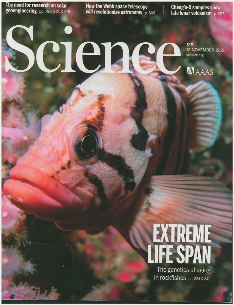 Image for Science Magazine: Extreme Life Span: The genetics of aging in rockfishes (21 November 2021, Vol 374, No 6569)