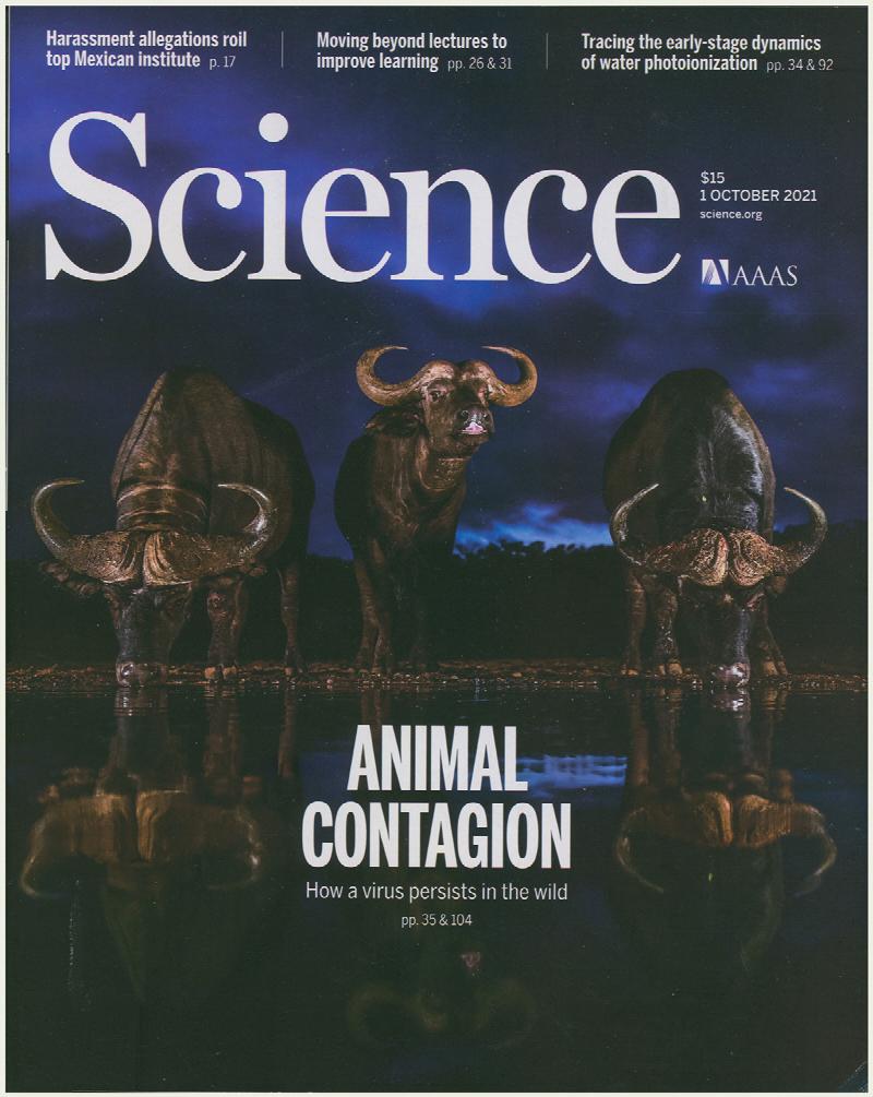 Image for Science Magazine: Animal Contagion: How a Virus Persists in the Wild (1 October 2021, Vol. 374, No. 6563)