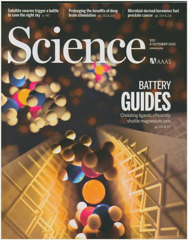 Image for Science Magazine: Battery Guides: Chelating ligands efficiently shuttle magnesium ions (8 October 2021, Vol. 374, No. 6564)