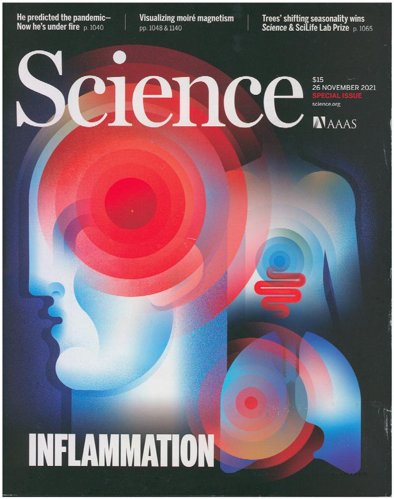 Image for Science Magazine: Features Inflammation (26 November 2021, Vol 374, No. 6571)