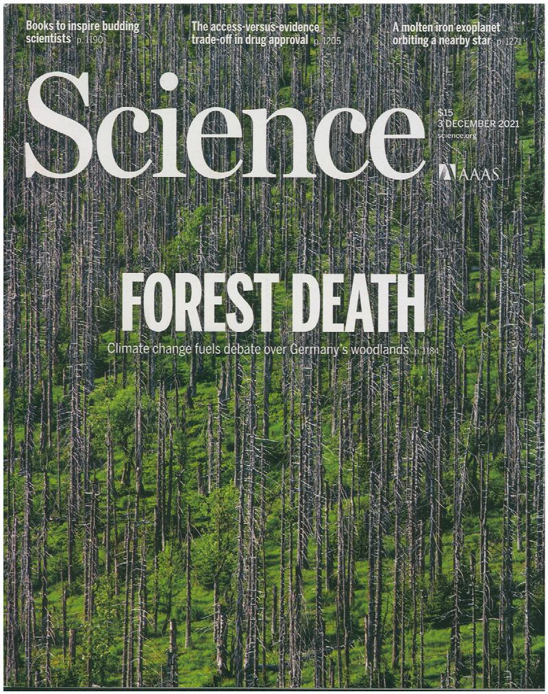 Image for Science Magazine: Forest Death (3 December 2021, Vol 374, No. 6572)