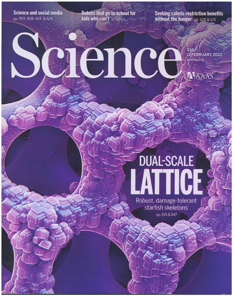 Image for Science Magazine: Dual-Scale Lattice (11 February 2011, Vol 375, No 6581)