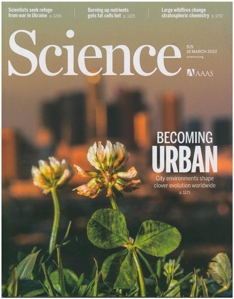 Image for Science Magazine: Becoming Urban: City Environments shape clover evolution worldwide (18 March 2022, Vol. 375, No 6586)