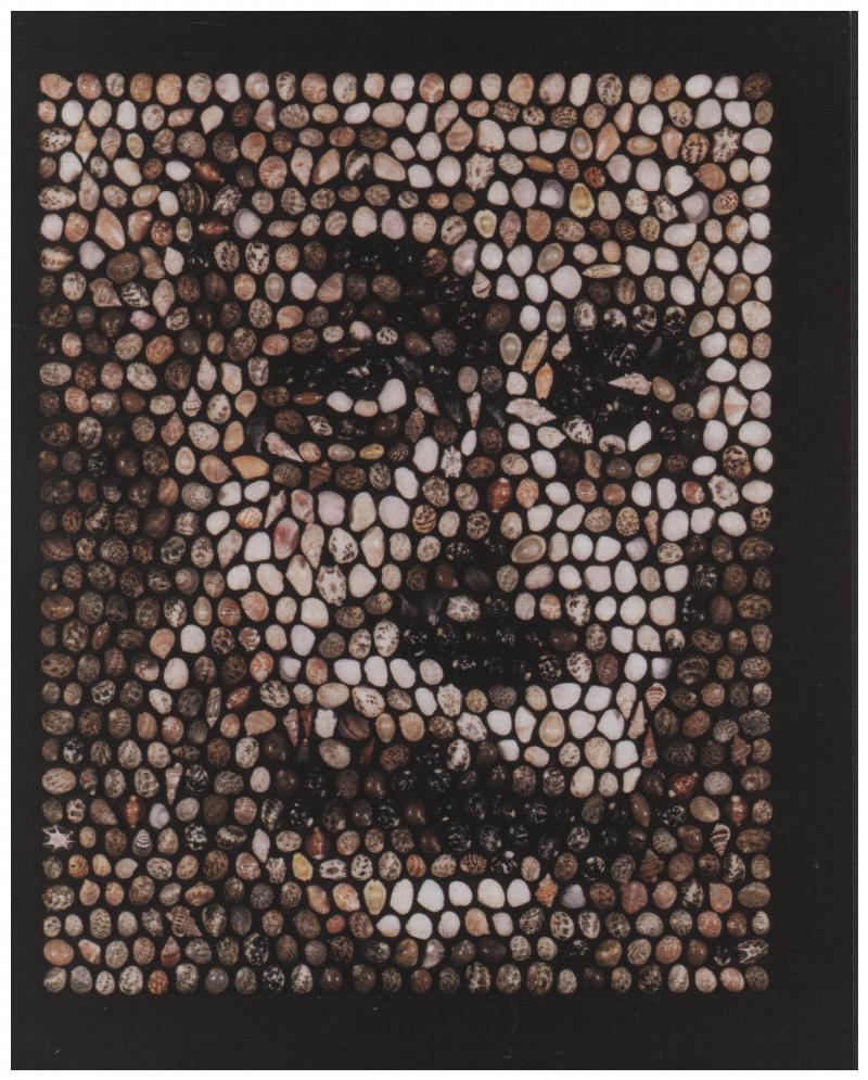 Image for Postcard: Seashell Mosaic Portrait of Albert Einstein by Ken Knowlton