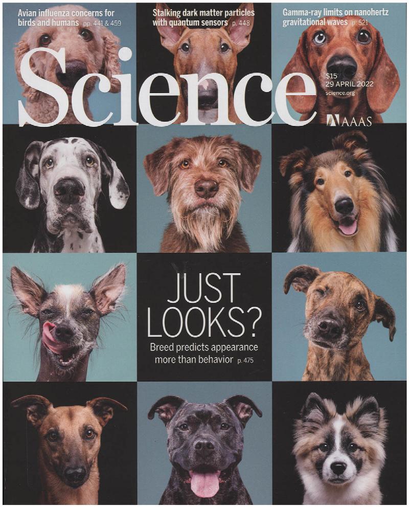 Image for Science Magazine: Dog Breeds (29 April 2022)