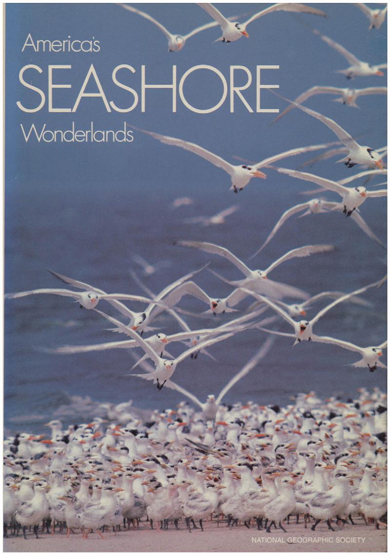 Image for America's Seashore Wonderlands