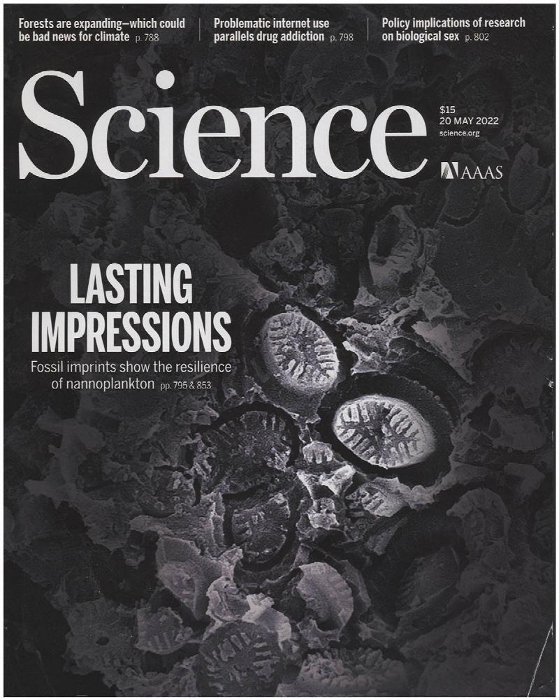 Image for Science Magazine: Fossil Imprints (20 May 2022)