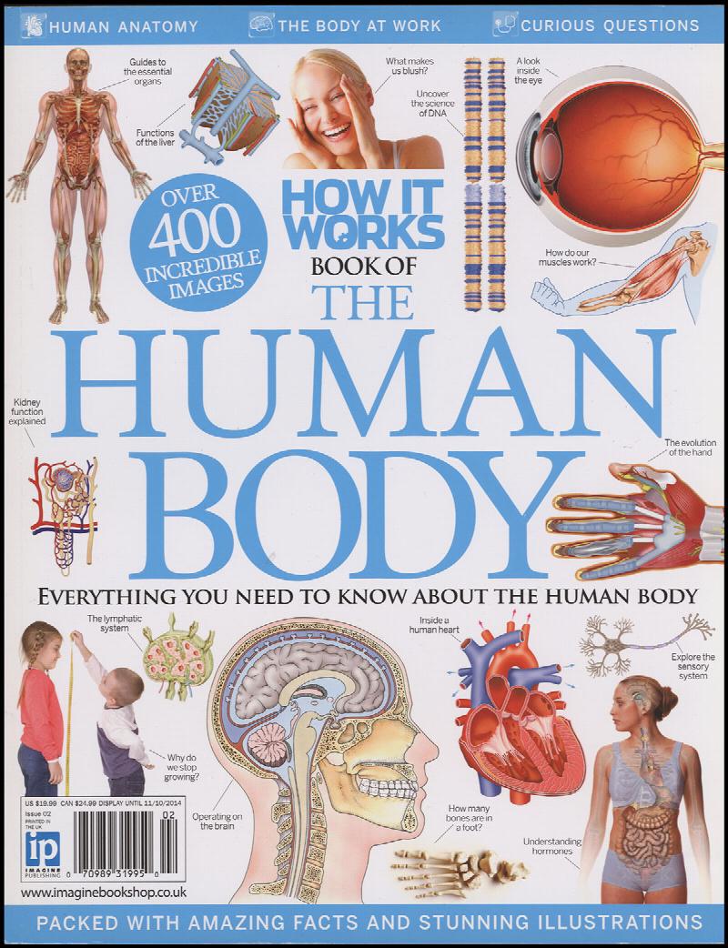 Image for The Human Body: How it Works (Second Revised Edition)