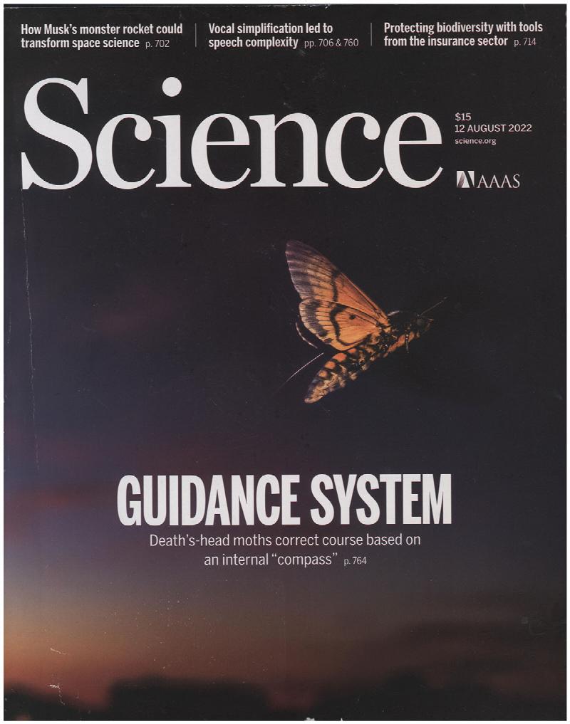Image for Science Magazine: Features Guidance System: Death's-head moth (12 August 2022)