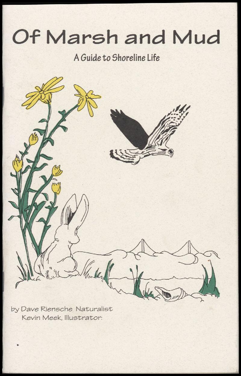 Image for Of Mash and Mud: A Guide to Shoreline Life