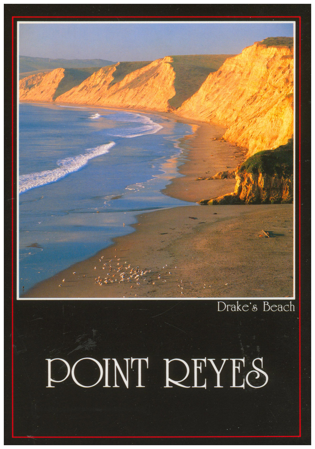 Point Reyes Area: Brochure and Drake's Beach Postcard (Two items)