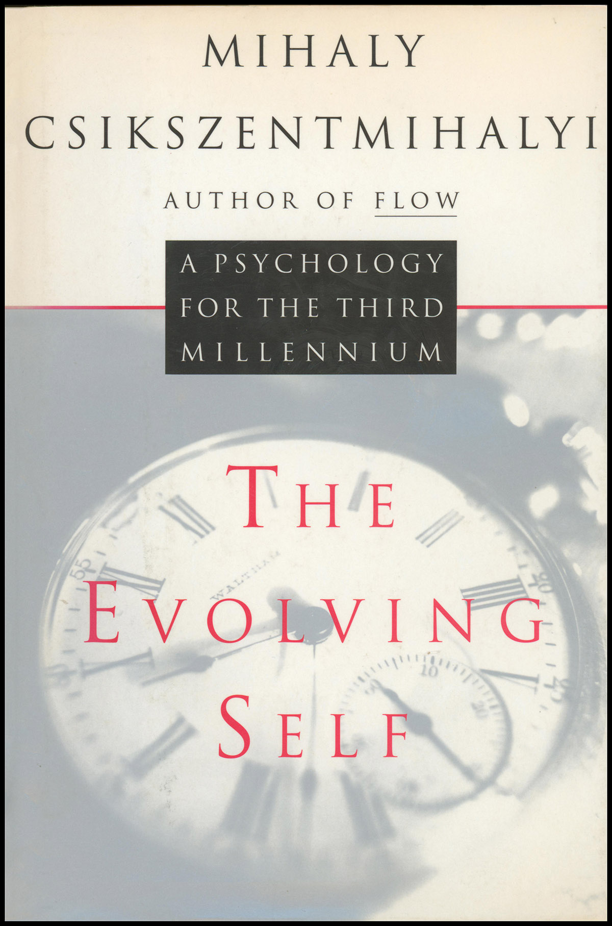 The Evolving Self: A Psychology for the Third Millennium