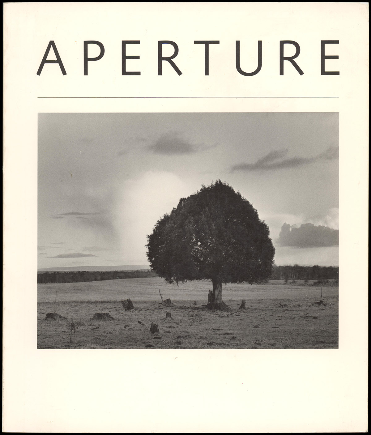 Aperture 82 (Spring 1979)